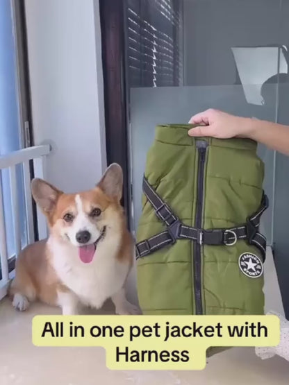 Waterproof Dog Harness Jacket